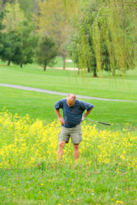 Bad Golfer Looking in Weeds
